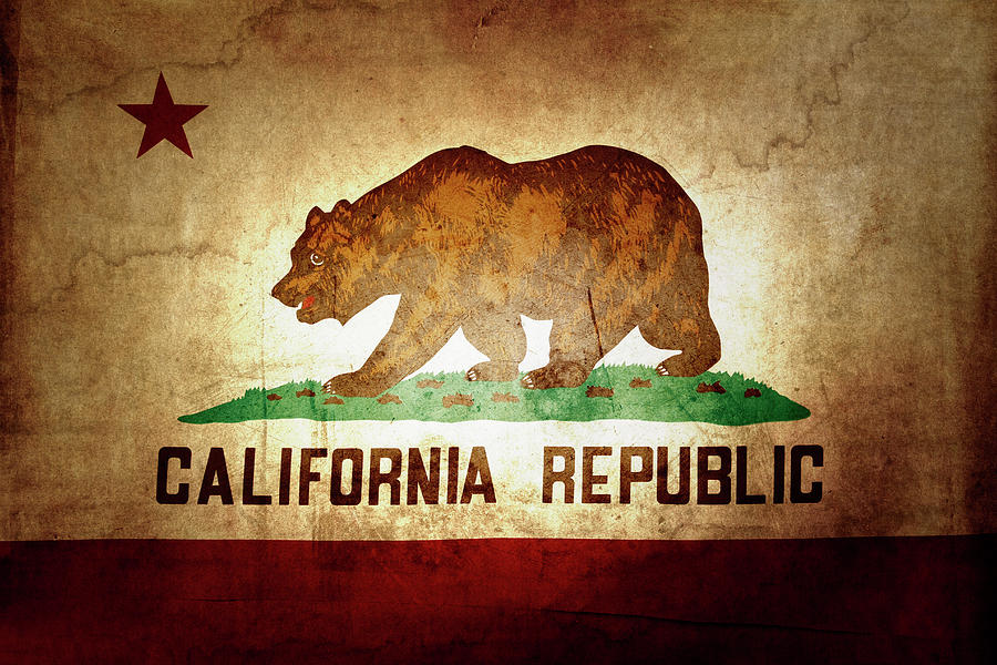 California flag Photograph by Les Cunliffe