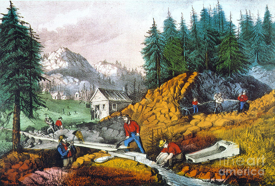 1871 Photograph - California: Gold Mining by Granger
