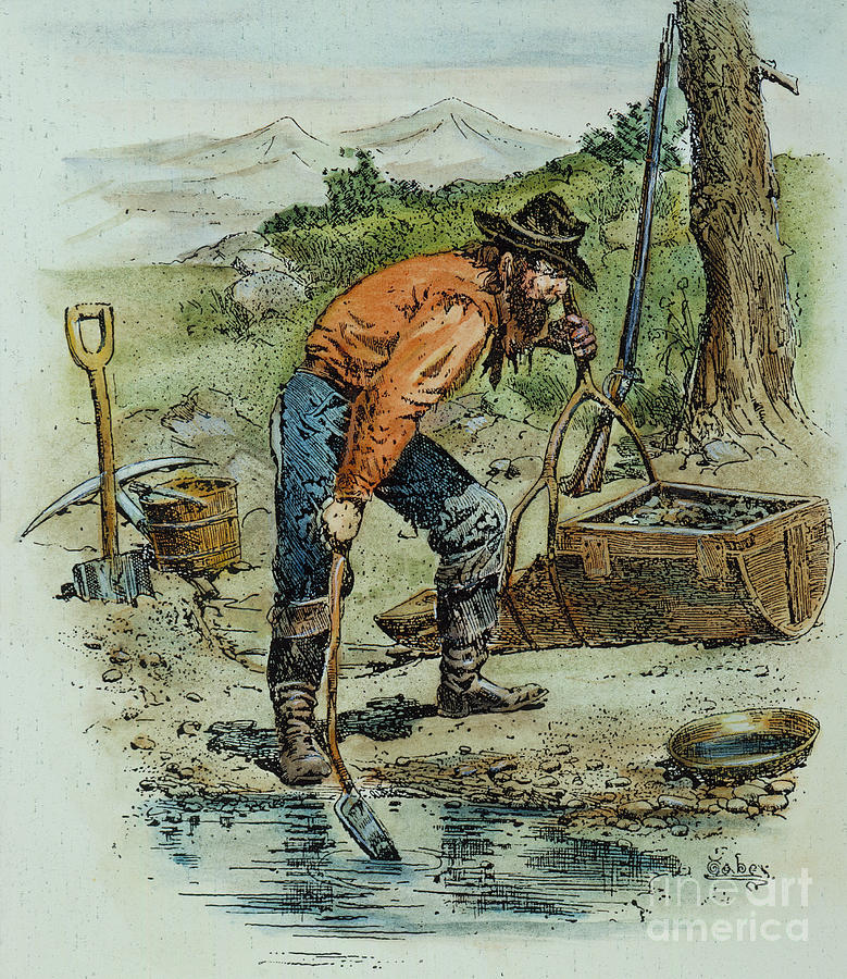 California Goldminer, 1850 Photograph by Granger