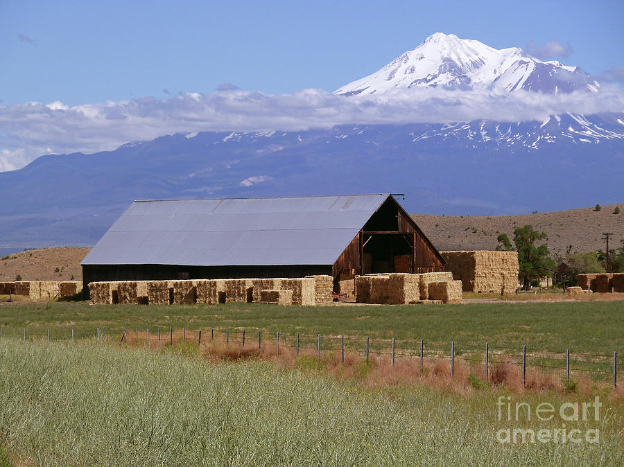 Mountain Photograph - California Hay Barn by Two Hivelys