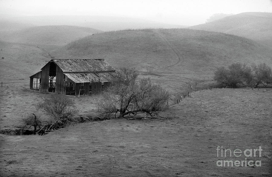 California Hills Bw Photograph By Michael Ziegler Fine Art America