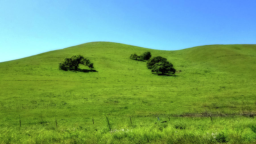 California Hills by Eric Wiles California Hills by Eric Wiles