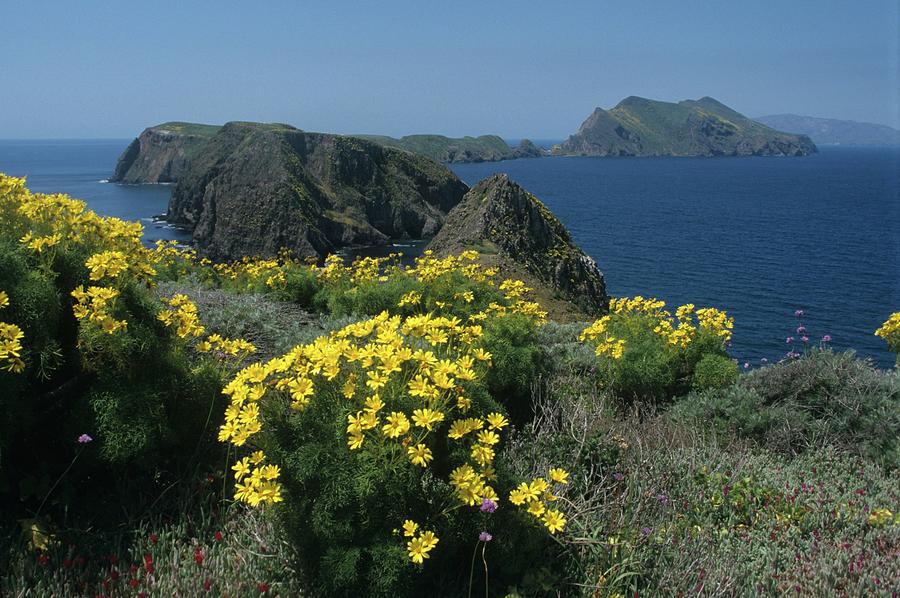 California Island Sunshine Photograph by Don Kreuter  Fine Art America