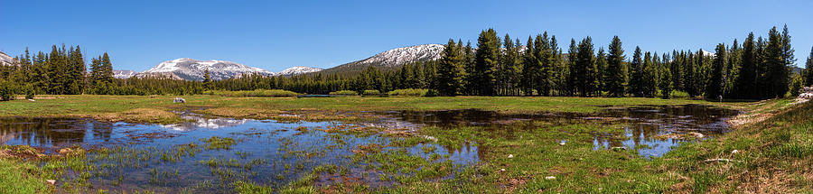 California Mountains -  Tuolumne Cathedral Lakes Panorama Photograph by Dan Carmichael