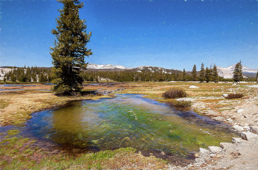 California Mountains -  Water Pond in Tuolumne Meadows AP Painting by Dan Carmichael