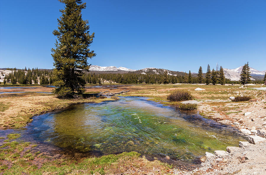 California Mountains -  Water Pond in Tuolumne Meadows Photograph by Dan Carmichael