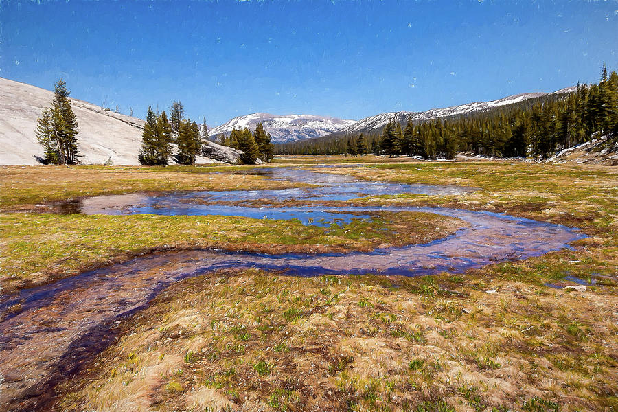 California Mountains -  Winding Creek in Tuolumne II AP Painting by Dan Carmichael