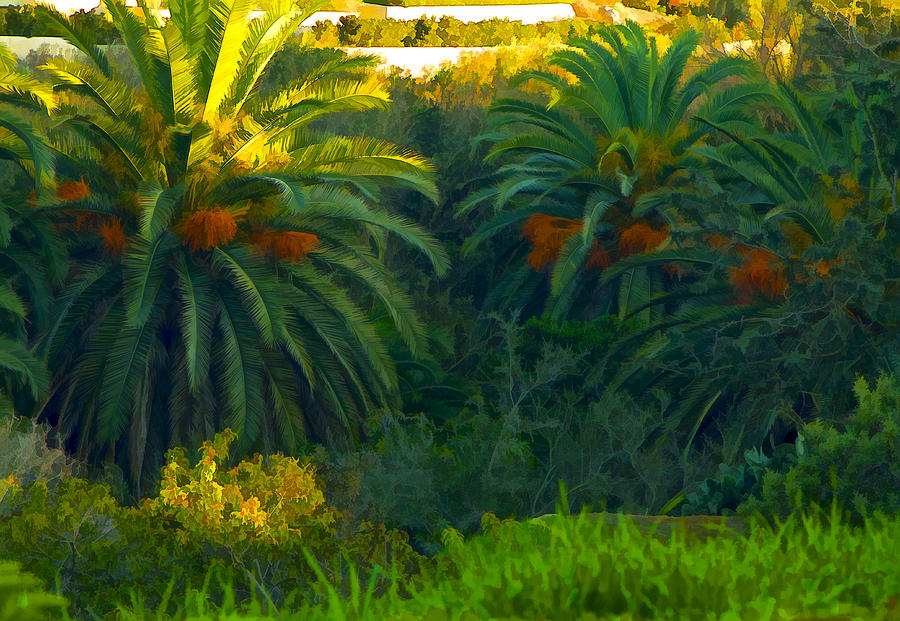 California Palms Digital Art by Waterdancer