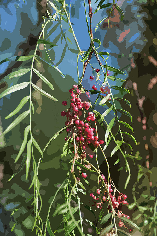 California Pepper Tree Leaves Berries Abstract Digital Art by Linda Brody