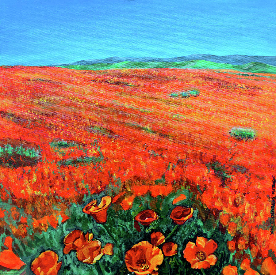 Flower Painting - California Poppies by Charles and Stacey Matthews