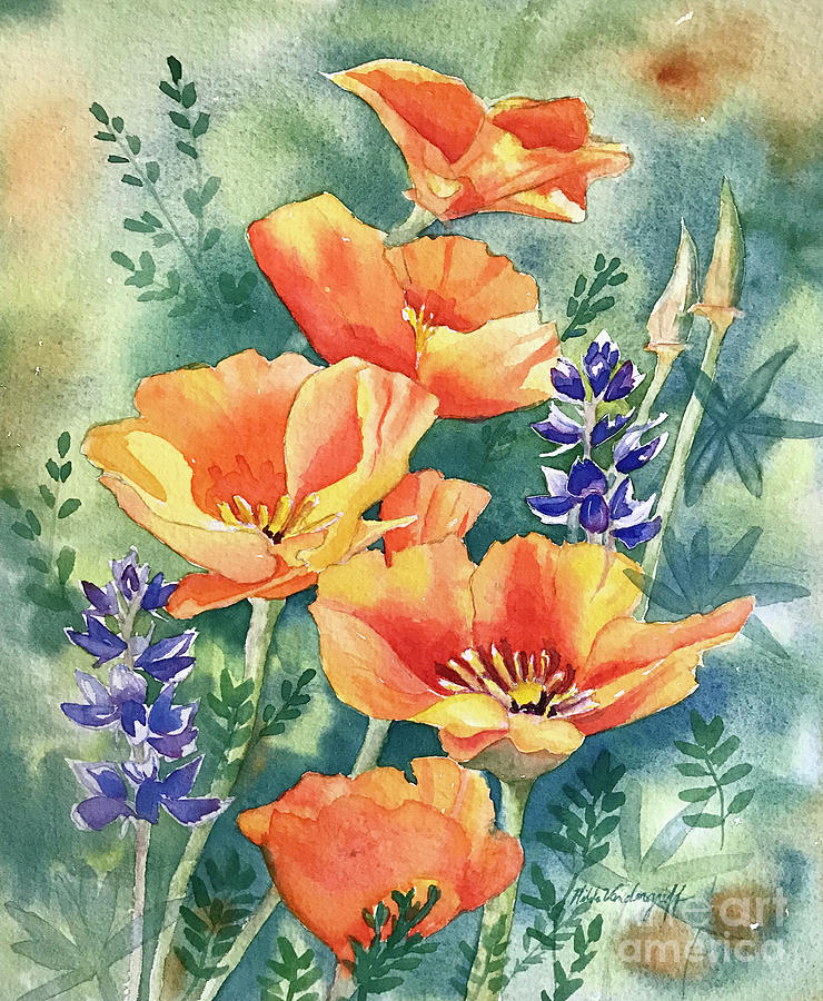 California Poppies in Bloom Painting by Hilda Vandergriff