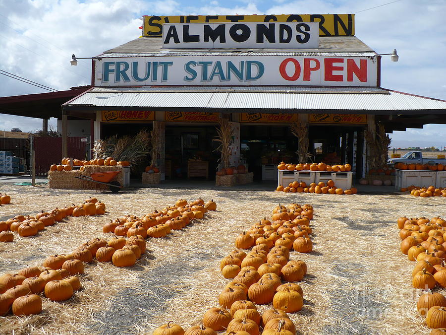 California Produce Stand Photograph by Carol Groenen
