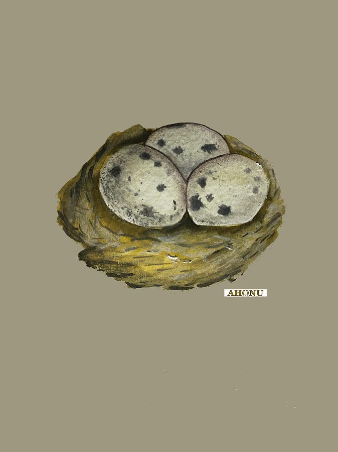 California Quail Eggs in Nest Painting by AHONU Aingeal Rose