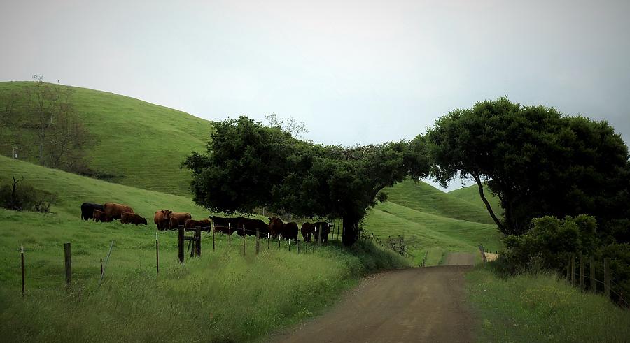California Ranch Lands Photograph by Jan Moore