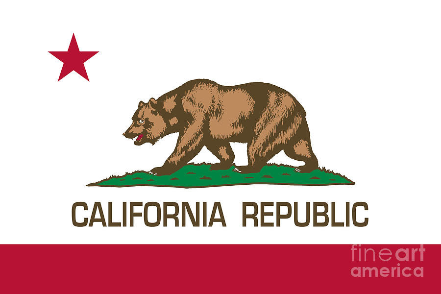 California Republic flag Digital Art by Sterling Gold