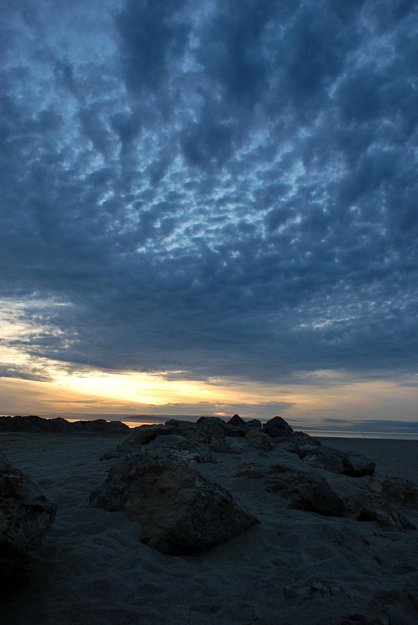 Tree Photograph - California Rocky Beach Sunset - Vertical View by Matt Quest