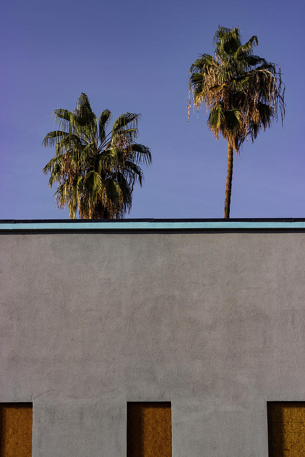 California Rooftop Photograph by Deborah Hughes