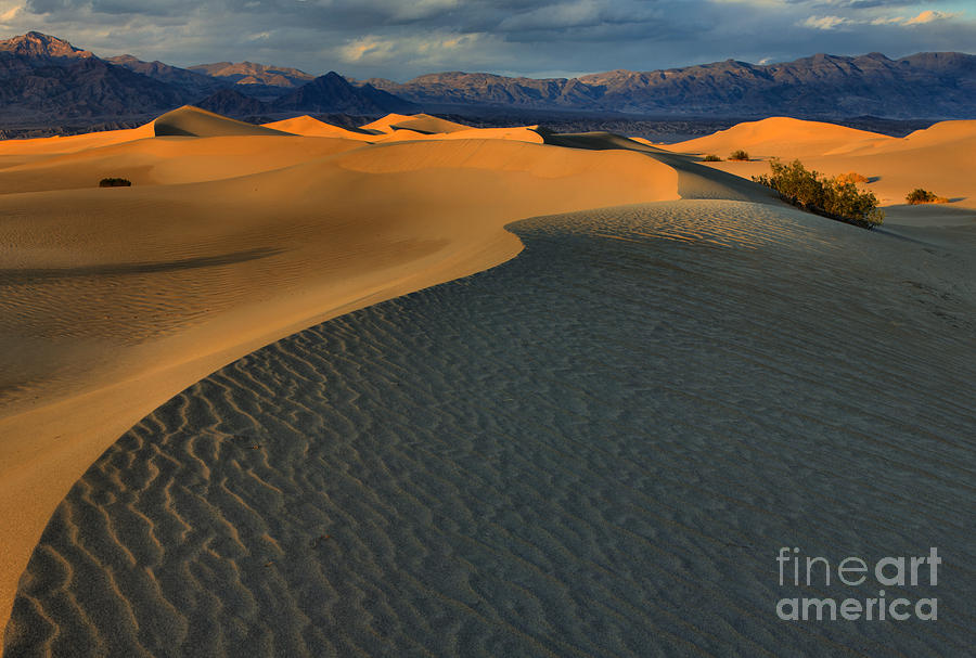 Death Valley National Park Photograph - California Sand Dunes by Adam Jewell