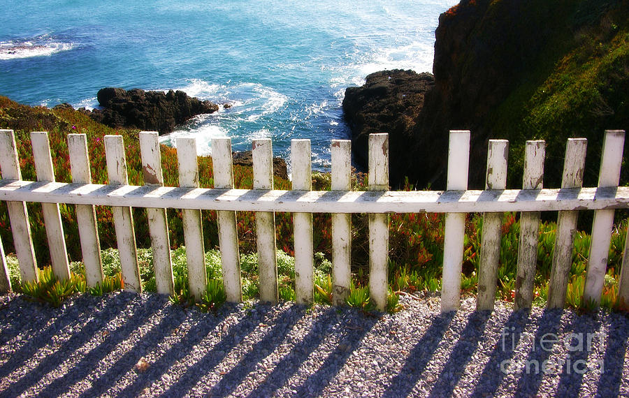 California Seaside Fence Photograph by Carol Groenen
