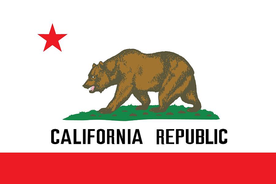 Flag Painting - California state flag by American School