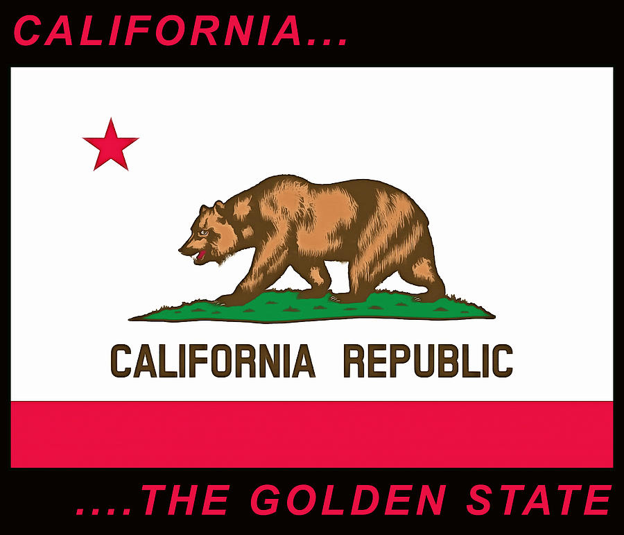 California State Flag Painting by Floyd Snyder