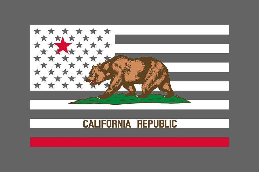 California State Flag Graphic USA Styling Digital Art by Garaga Designs