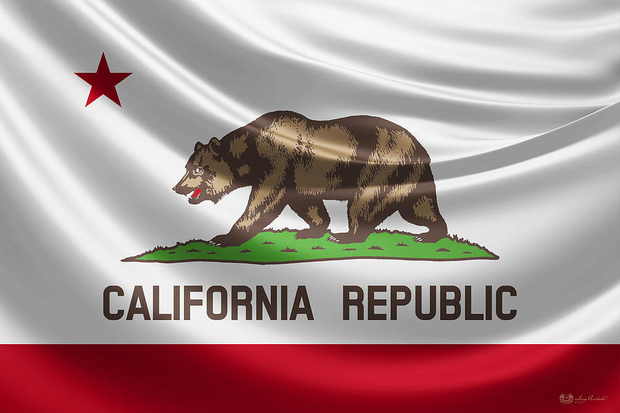 California State Flag Digital Art by Serge Averbukh