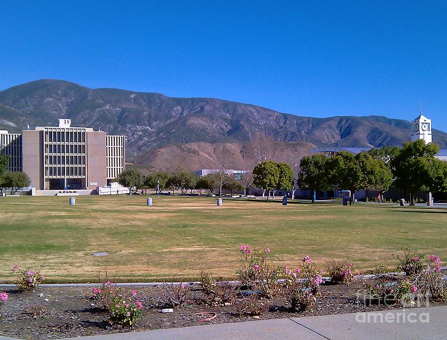 California State University San Bernardino Photograph by Kelly Blair