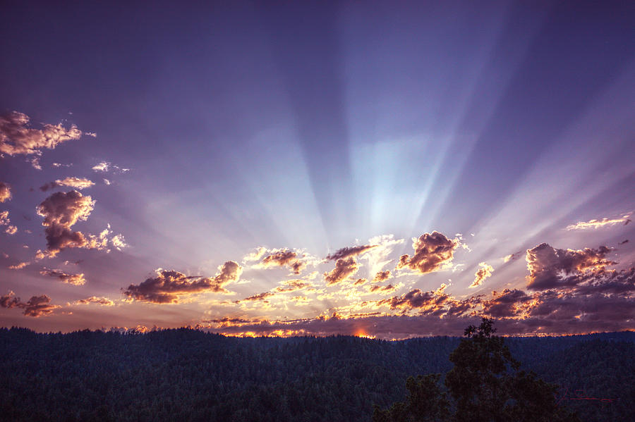 California Subtropical Sunset Photograph by James Bong