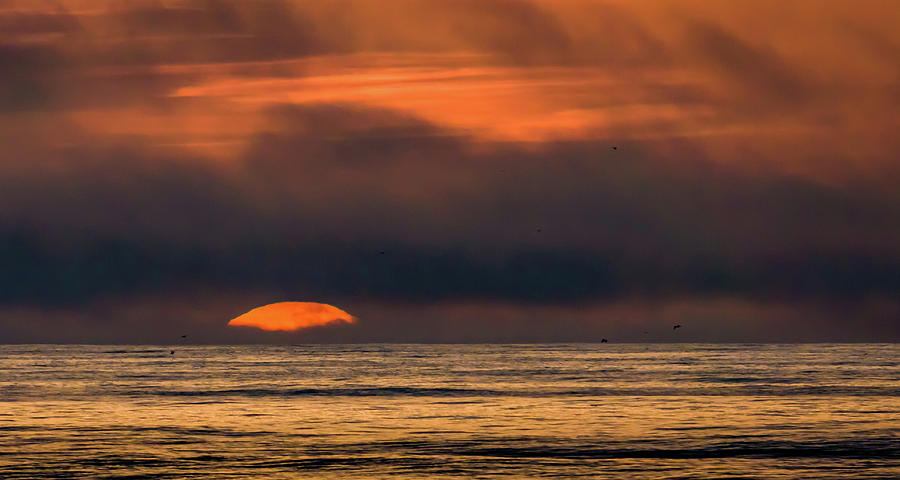 California Sunset Photograph by David A Litman