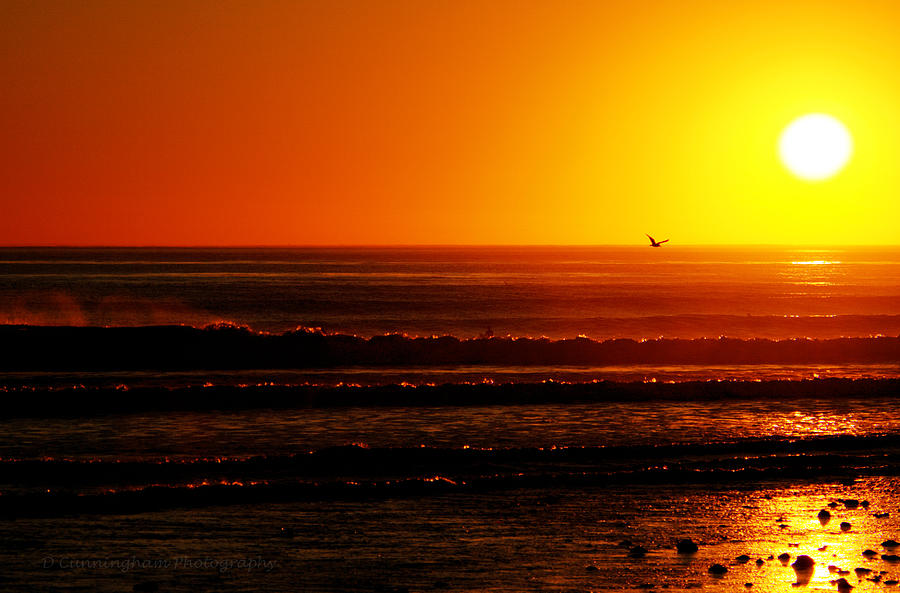 California Sunset  Photograph by Dorothy Cunningham