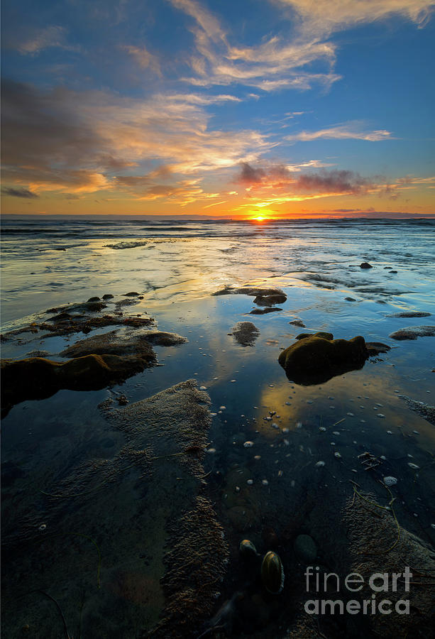 Sunset Photograph - California Tidepool Sunset by Michael Dawson