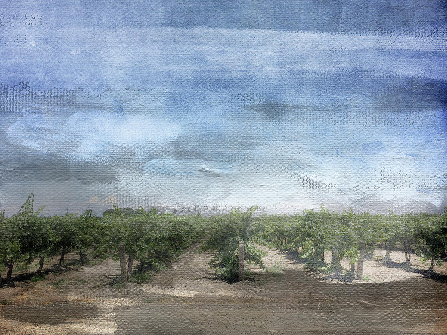 California Vineyard- Art by Linda Woods Mixed Media by Linda Woods