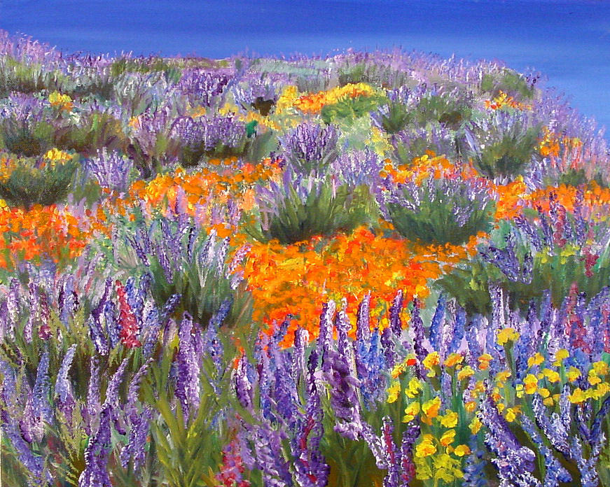 California Wildflowers Painting by Mary Jo Zorad
