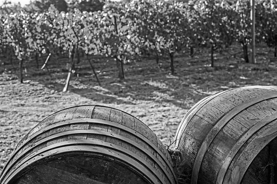 California Wine Country Wine Barrels Sonoma Valley Black and White Photograph by Toby McGuire