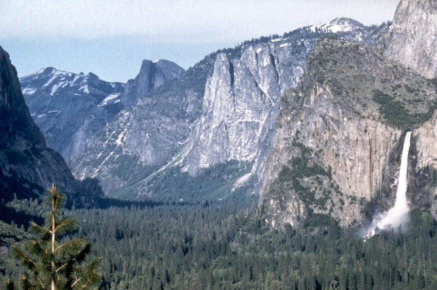 California: Yosemite Valley Photograph by Granger