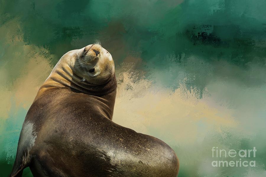 Close-up Photograph - Californian Seal by Eva Lechner