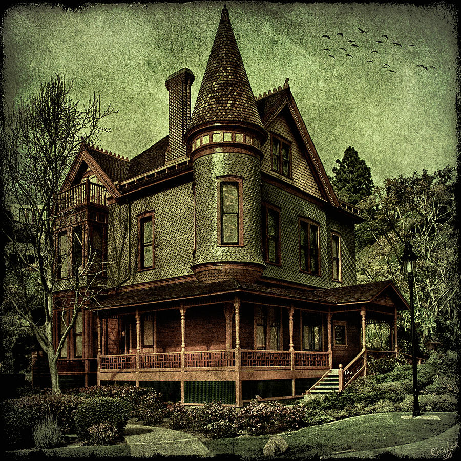Californian Victorian Photograph by Chris Lord
