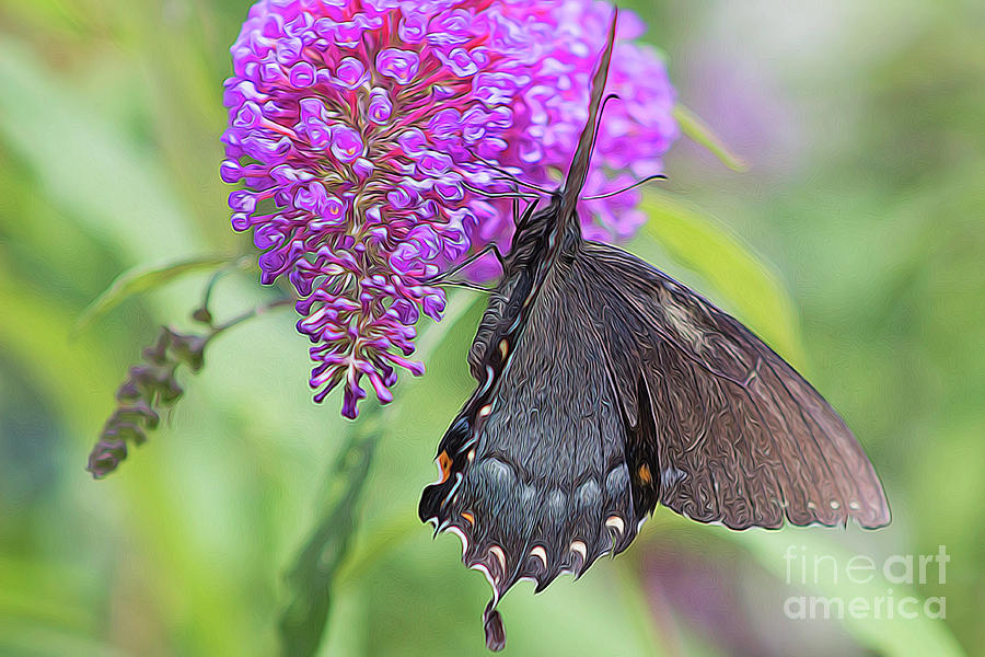 call-of-nature-photograph-by-carolyn-truchon-pixels