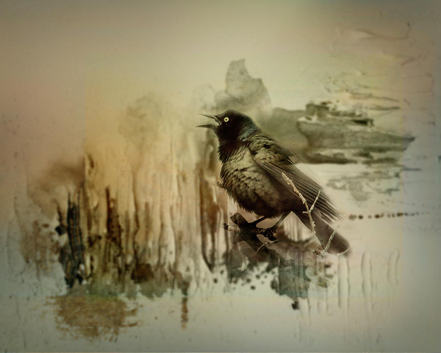 Call Of The Grackle Digital Art by Sue Capuano