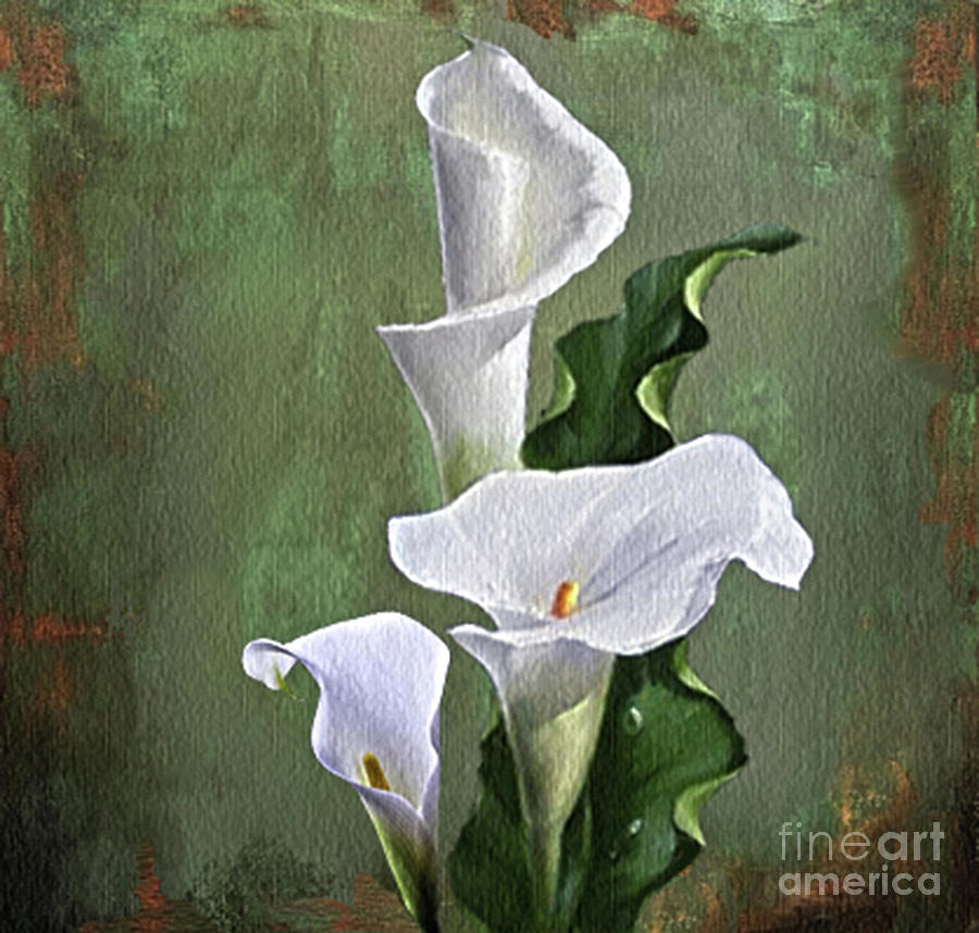 Flowers Still Life Painting - Calla flower by Nachum Furman