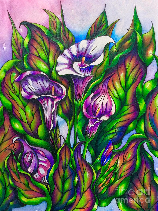 Calla Lilies and Colorful Foliage Original  Drawing by Breena Briggeman