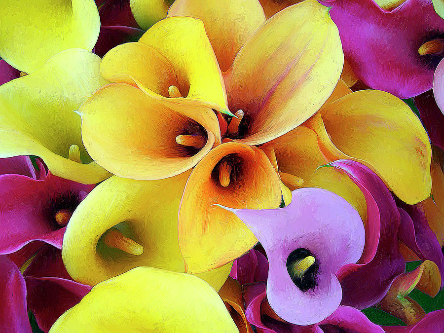 Calla Lilies Painting by Dominic Piperata