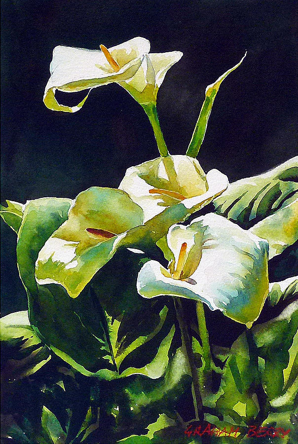 Calla Lilies Painting By Graham Berry Pixels   Calla Lilies Graham Berry 