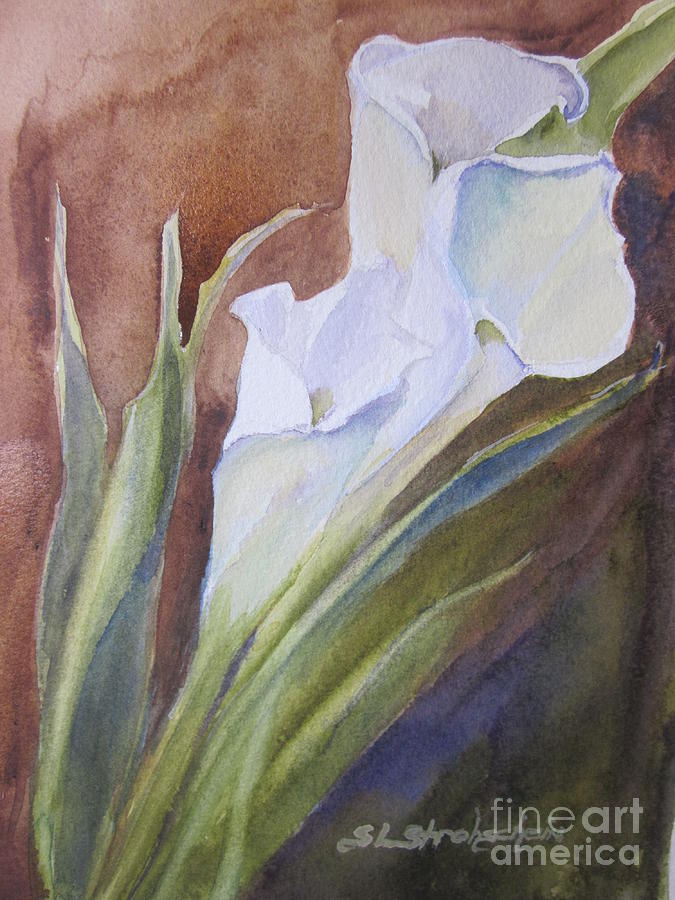 Calla Lillies Painting by Sandra Strohschein