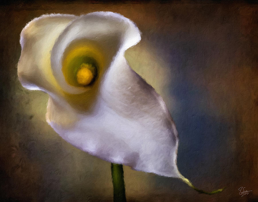 Calla Lilly Faux Oil Painting Photograph by Endre Balogh