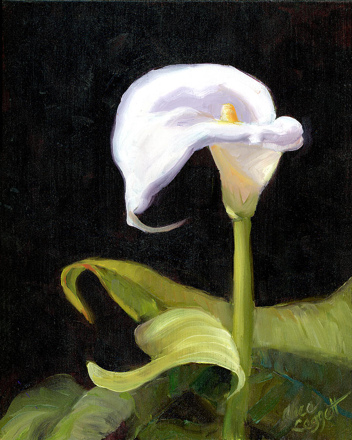 Calla Lily Painting by Alice Leggett