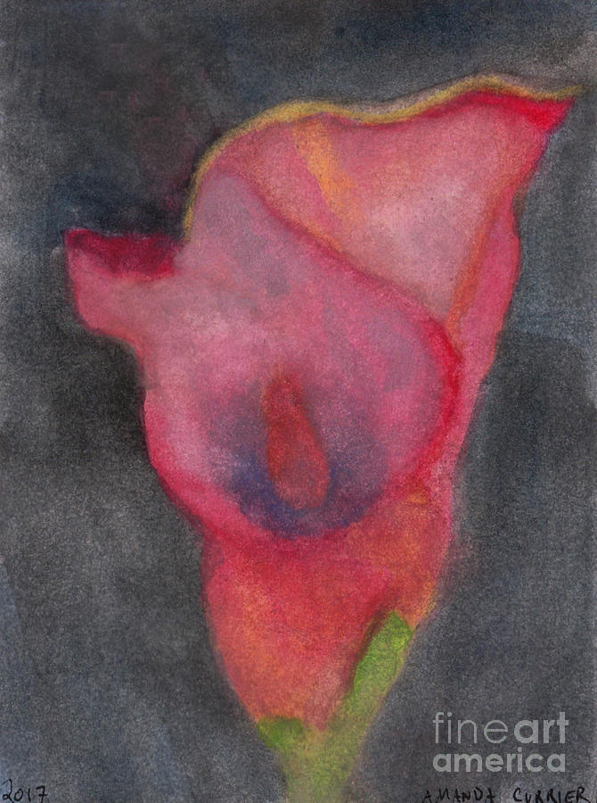 Lily Painting - Calla Lily by Amanda Currier