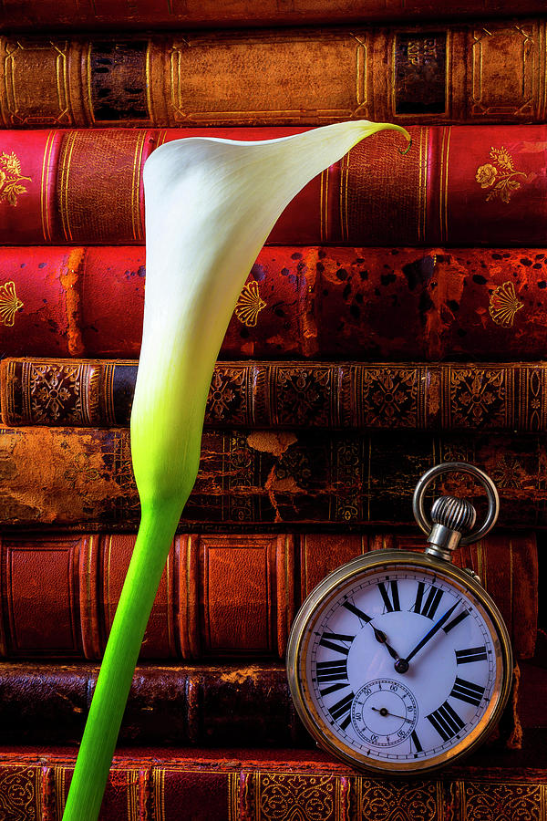 Calla Lily And Pocket Watch Photograph by Garry Gay