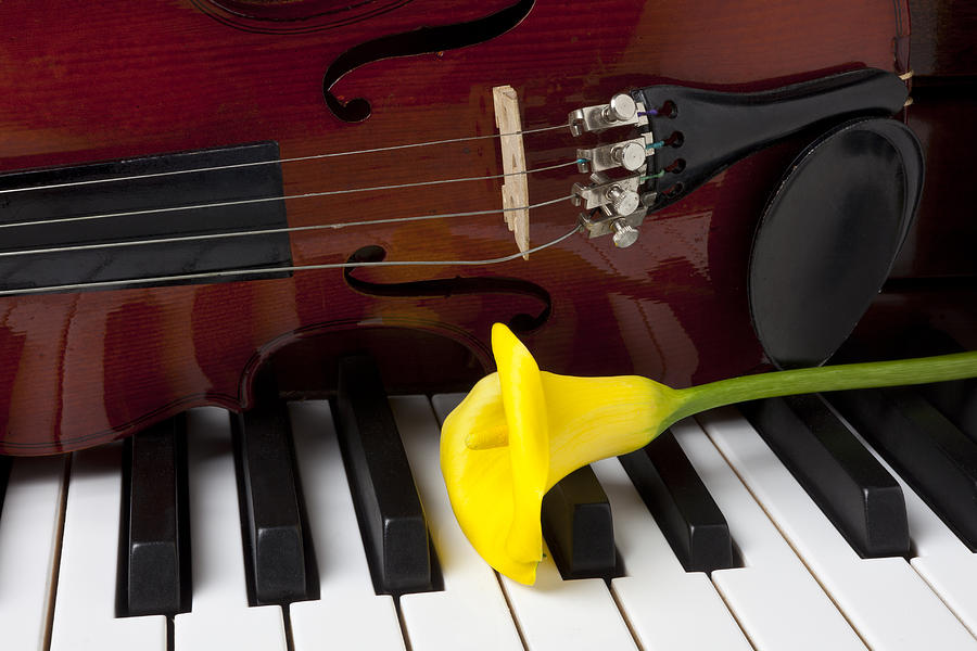 Calla lily and violin on piano Photograph by Garry Gay